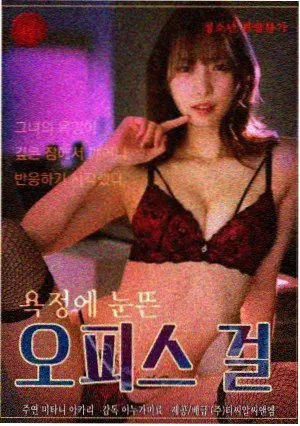 长夏未寄剧集封面